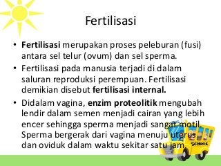 Detail Gambar Fertilisasi Pada Manusia Nomer 25