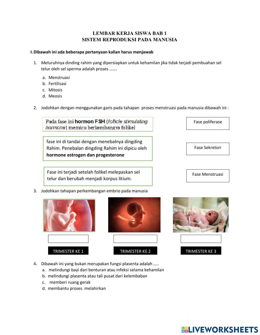 Detail Gambar Fertilisasi Pada Manusia Nomer 31