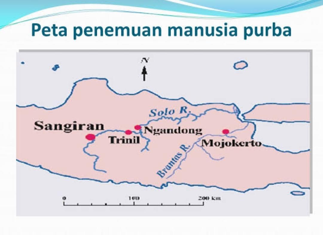 Detail Gambar Fosil Manusia Purba Beserta Keterangannya Nomer 25