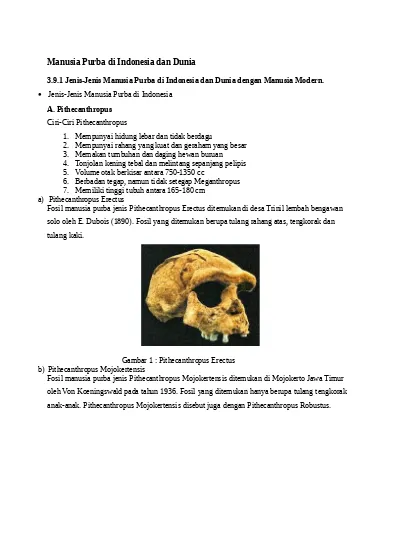 Detail Gambar Fosil Manusia Purba Beserta Keterangannya Nomer 28
