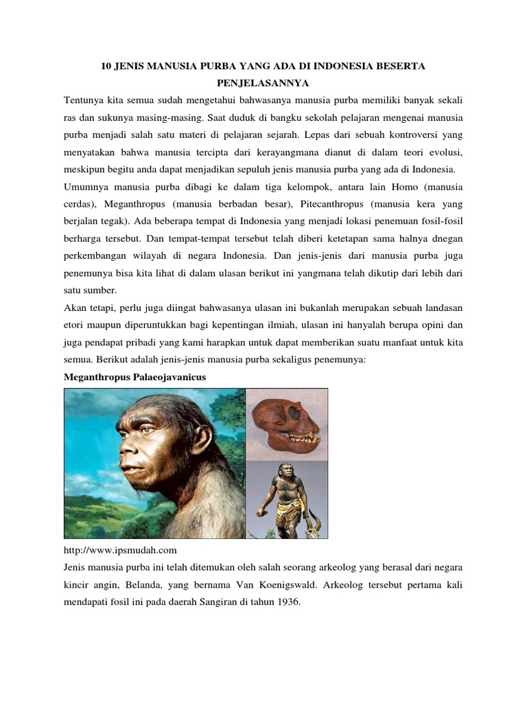 Detail Gambar Fosil Manusia Purba Beserta Keterangannya Nomer 36