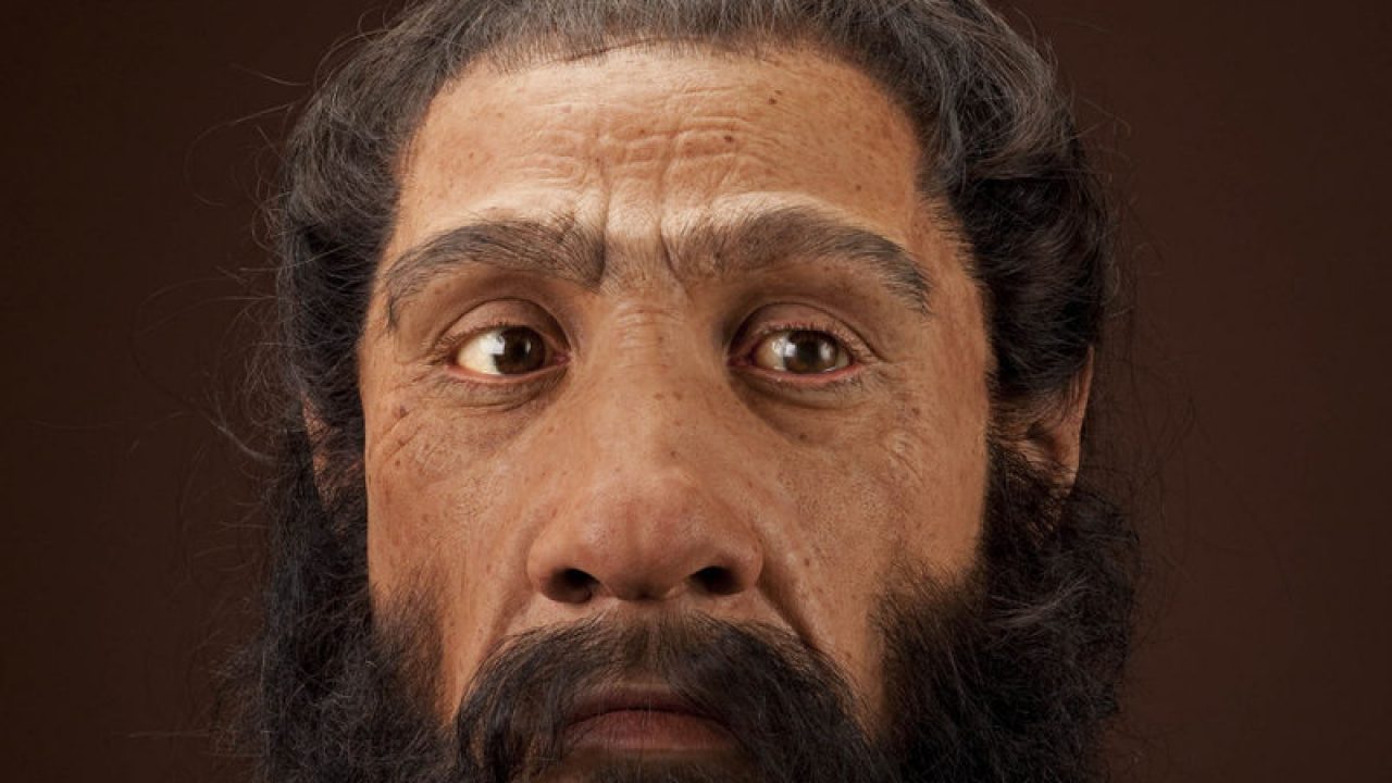 Detail Gambar Fosil Manusia Purba Beserta Keterangannya Nomer 42