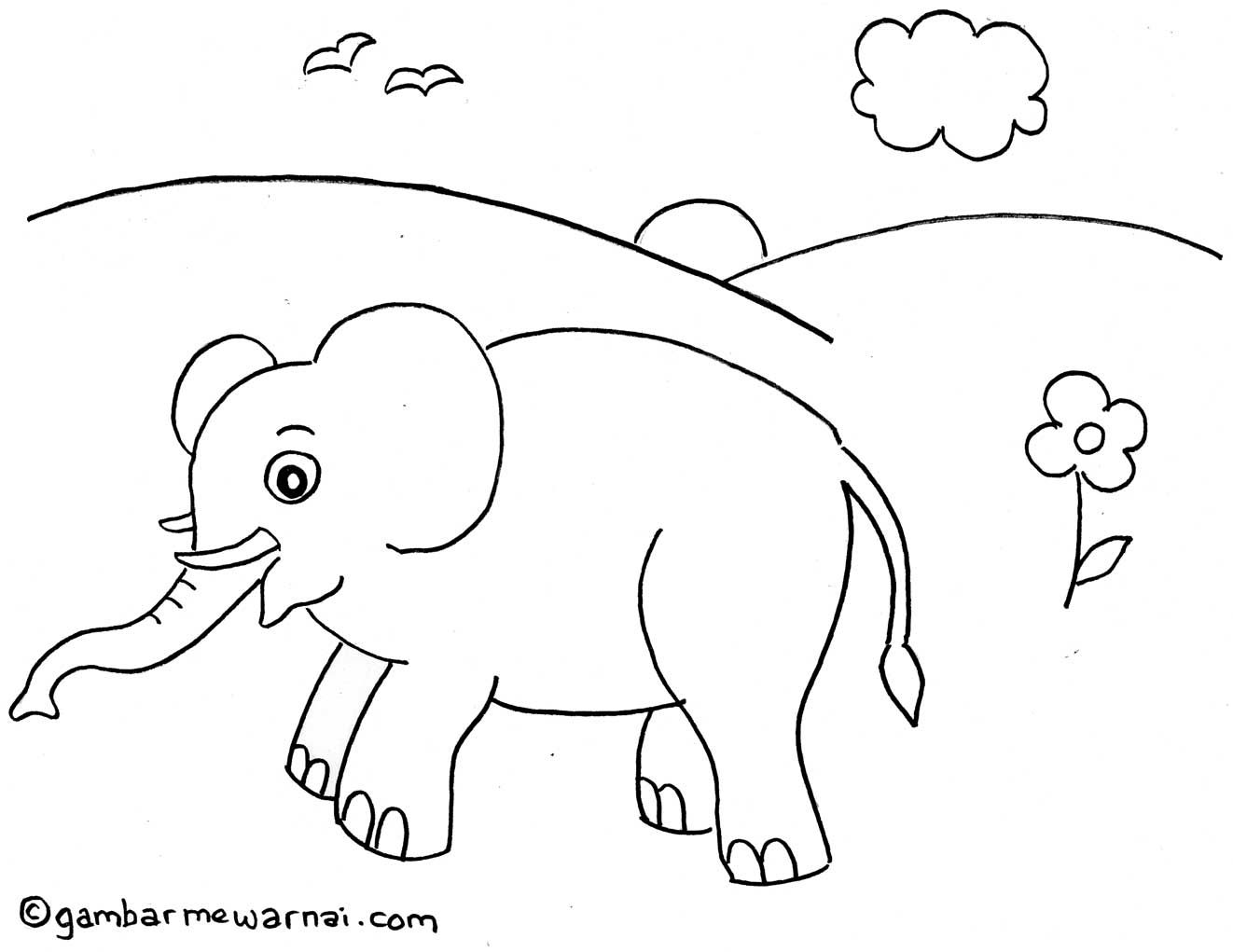 Detail Gambar Gajah Untuk Mewarna Nomer 3