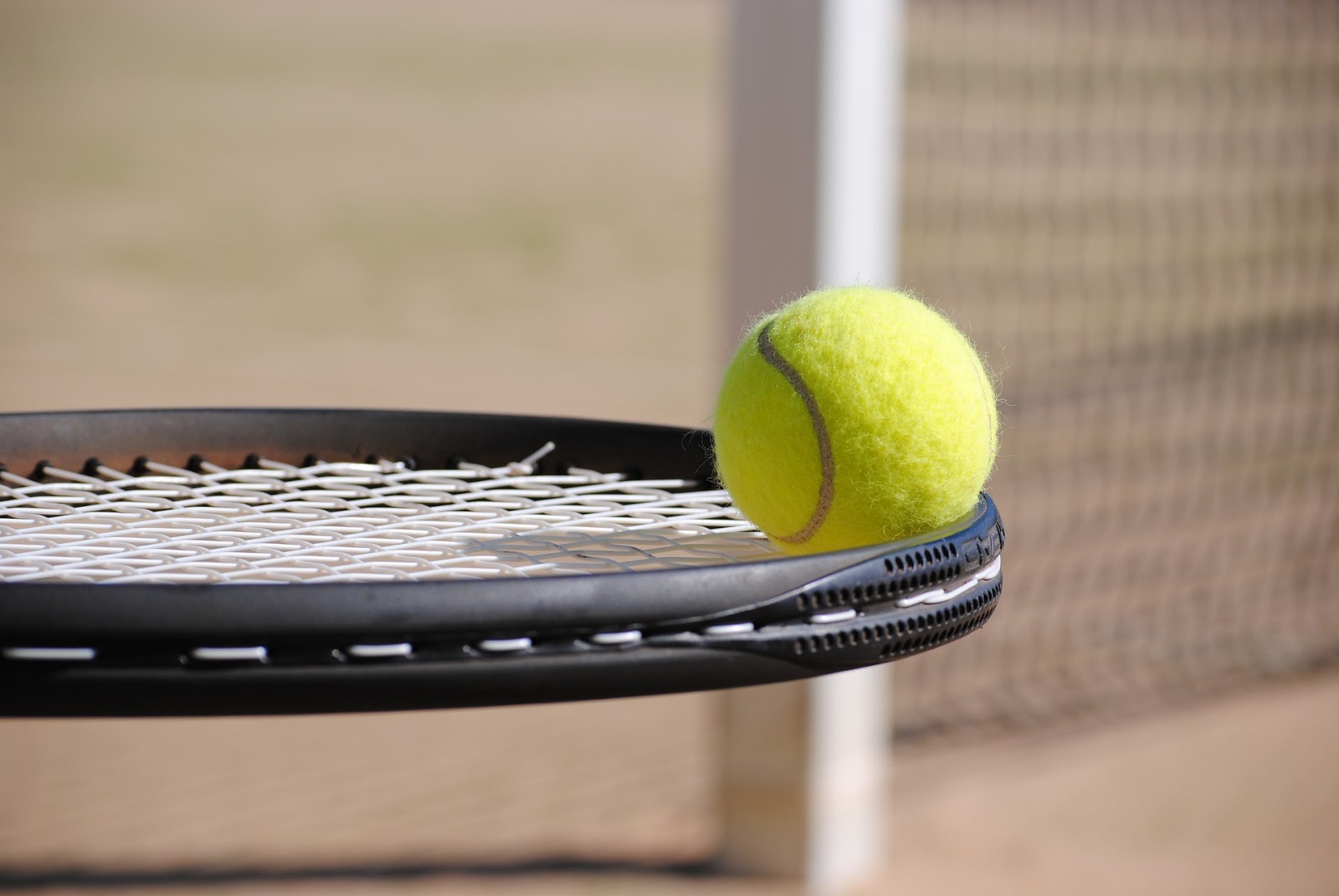 Detail Gambar Gambar Alat Olahraga Gambar Gambar Alat Olahraga Tenis Lapangan Nomer 9