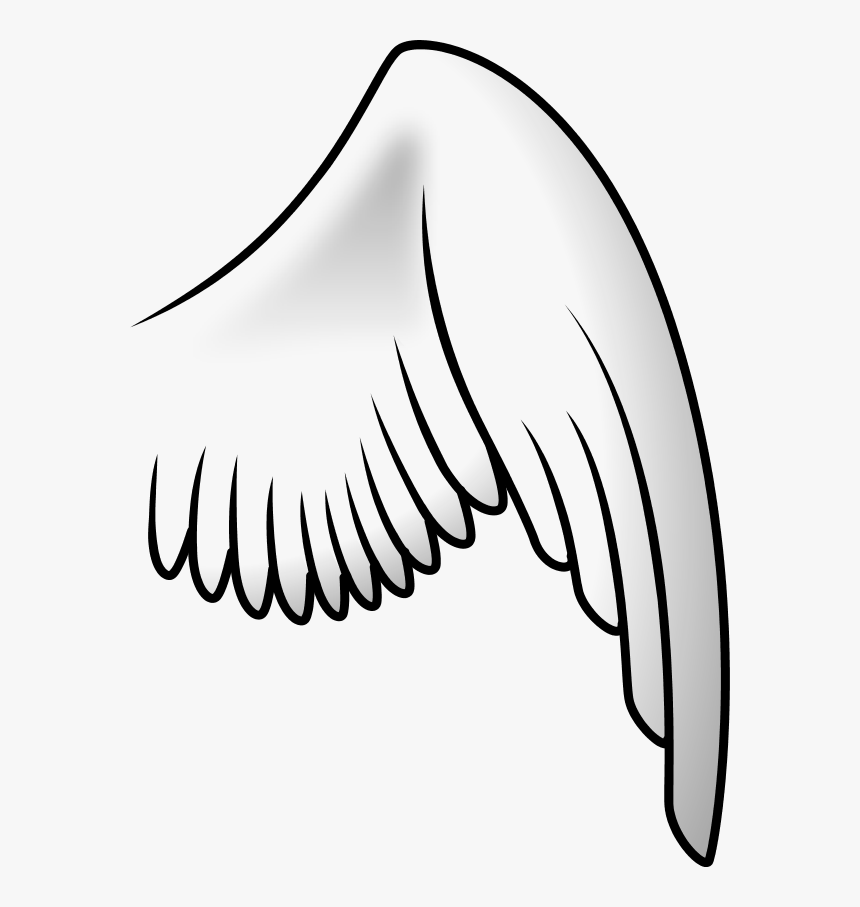 Detail Bird Wing Art Nomer 3