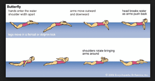 Detail Gambar Gaya Berenang Dalam Kartun Nomer 27