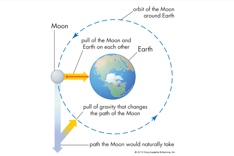 Detail Gambar Gaya Gravitasi Nomer 14