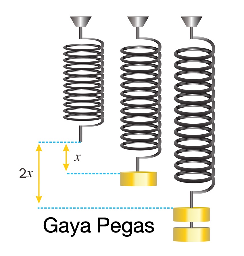 Detail Gambar Gaya Pegas Nomer 10