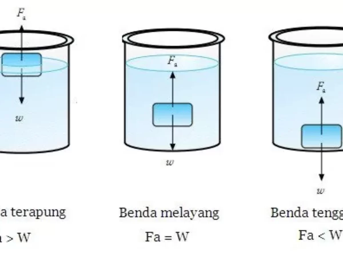 Detail Gambar Gaya Yang Bekerja Pada Batu Yang Tenggelam Nomer 6