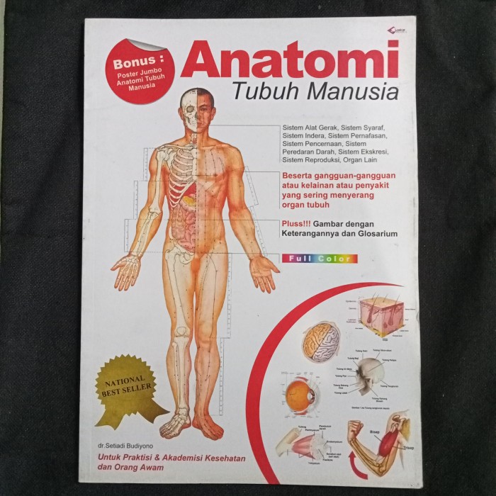 Detail Gambar Gerak Anatomi Tubuh Manusia Nomer 32