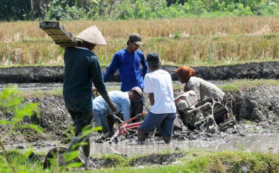 Detail Gambar Gotong Royong Di Masyarakat Beserta Penjelasannya Dari Gambar Tersebut Nomer 24