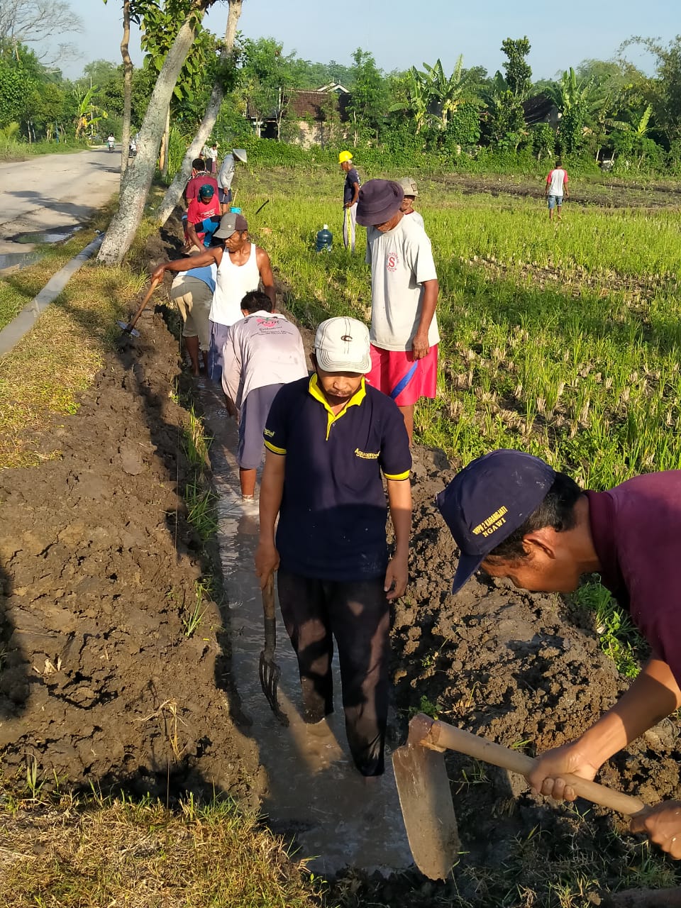 Detail Gambar Gotong Royong Di Masyarakat Beserta Penjelasannya Dari Gambar Tersebut Nomer 31