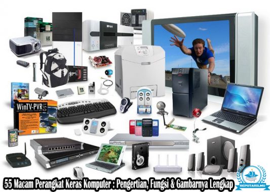 Detail Gambar Hardware Dan Fungsinya Nomer 14