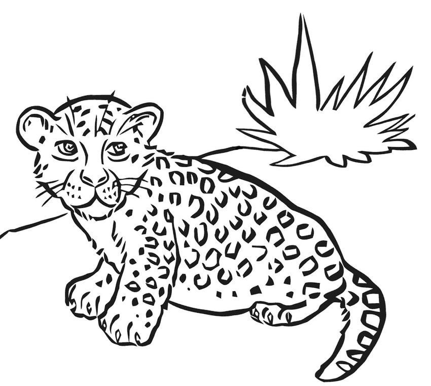 Detail Gambar Harimau Untuk Diwarnai Anak Tk Nomer 20