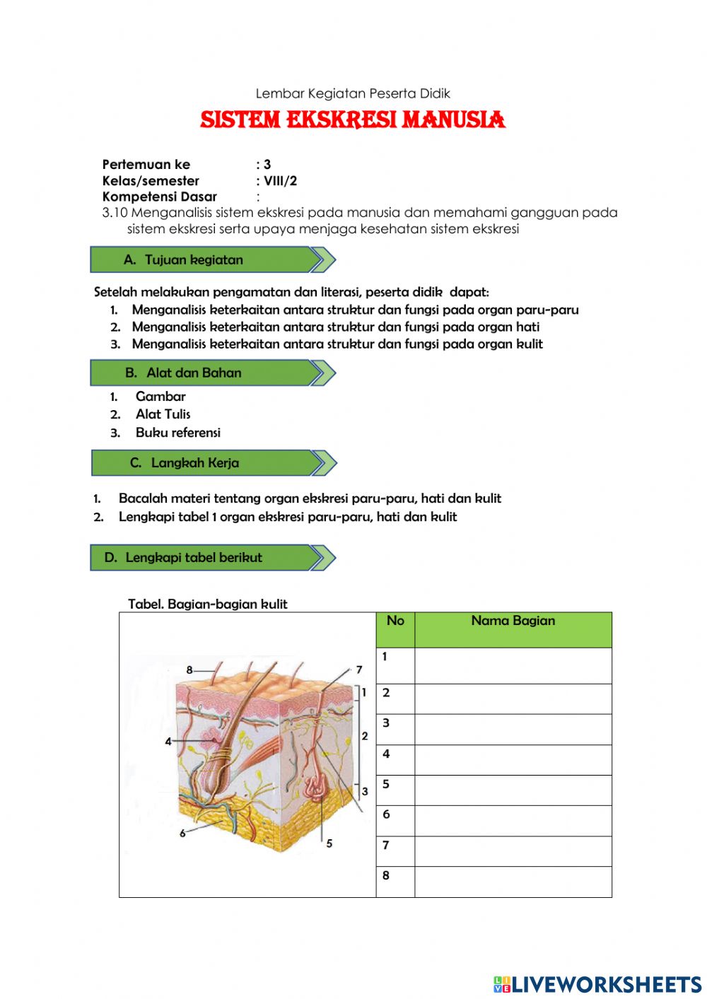 Detail Gambar Hati Gambar Kulit Manusia Nomer 32