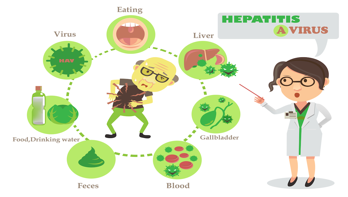 Detail Gambar Hepatitis A Nomer 11