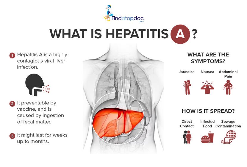 Detail Gambar Hepatitis A Nomer 3