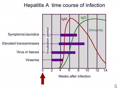 Detail Gambar Hepatitis A Nomer 47