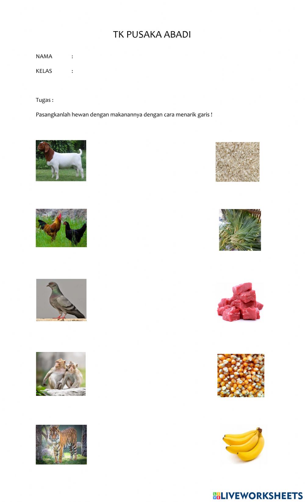 Detail Gambar Hewan Beserta Makanannya Nomer 9