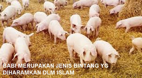 Detail Gambar Hewan Halal Dan Haram Beserta Alasannya Nomer 38