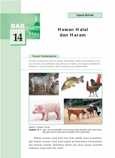 Detail Gambar Hewan Halal Dan Haram Beserta Alasannya Nomer 8