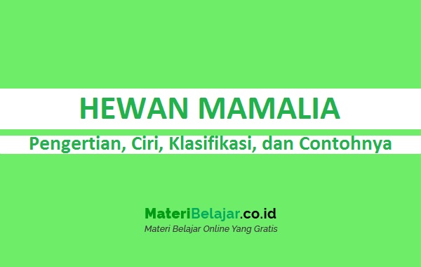 Detail Gambar Hewan Mamalia Beserta Namanya Nomer 50