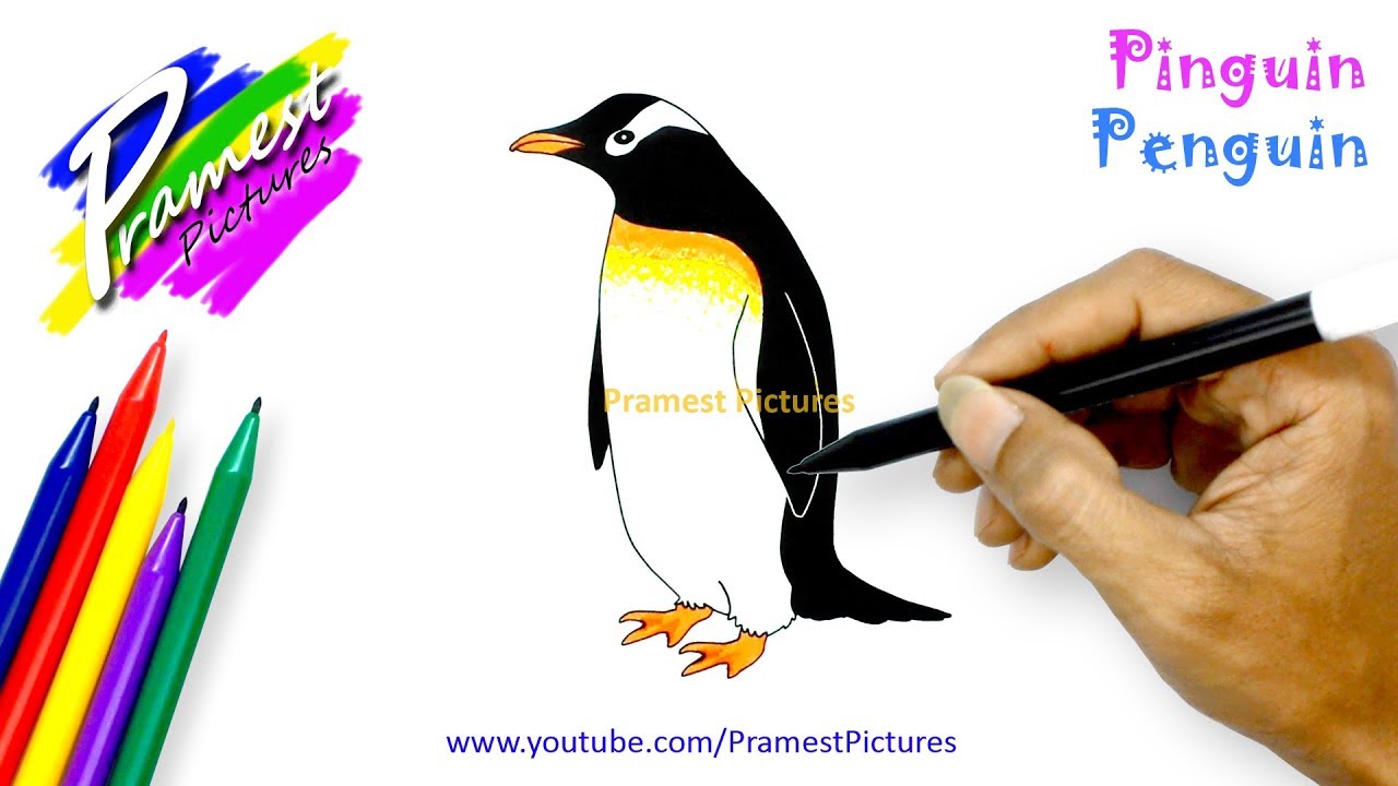 Detail Gambar Hewan Pinguin Nomer 12