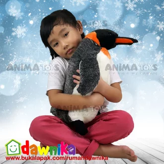 Detail Gambar Hewan Pinguin Nomer 21