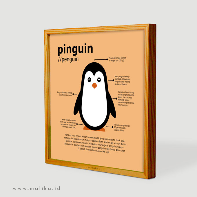 Detail Gambar Hewan Pinguin Nomer 39