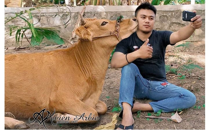 Detail Gambar Hewan Qurban Lucu Nomer 40