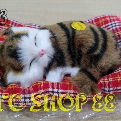Detail Gambar Hewan Sedang Tidur Nomer 28