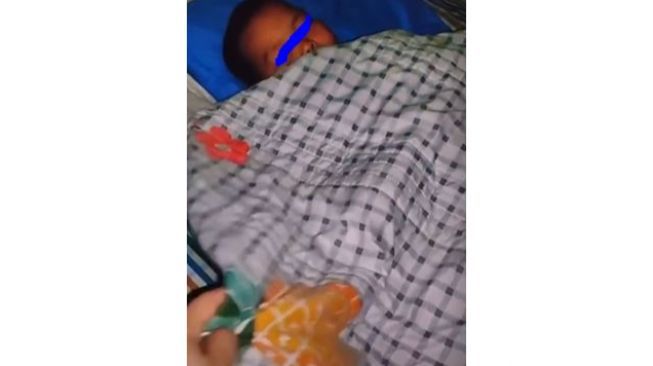 Detail Gambar Hewan Sedang Tidur Nomer 29