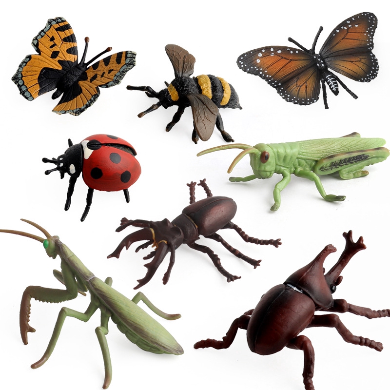 Gambar Hewan Serangga - KibrisPDR