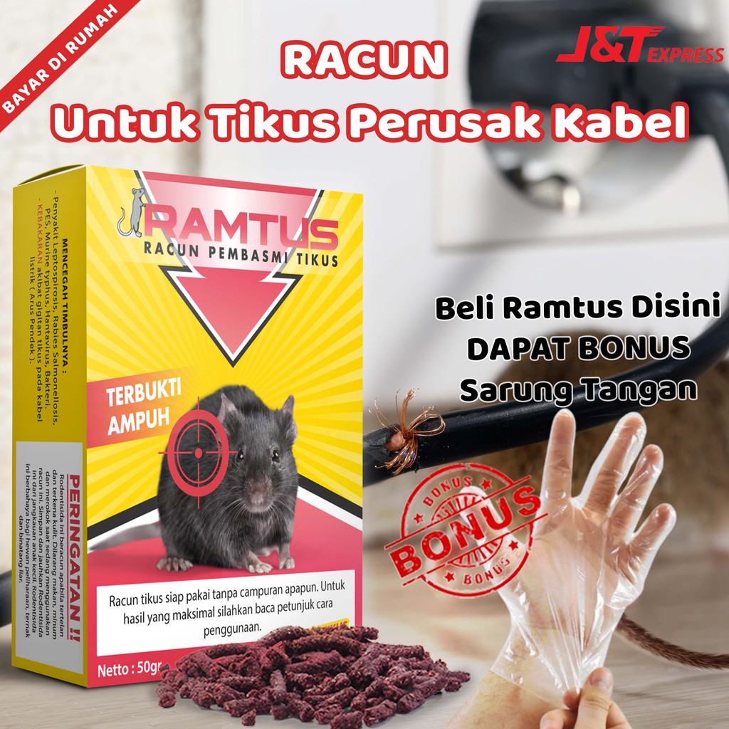 Detail Gambar Hewan Tikus Rabies Nomer 31