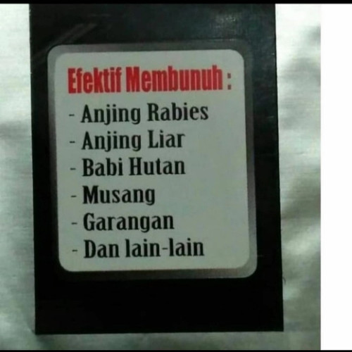 Detail Gambar Hewan Tikus Rabies Nomer 37