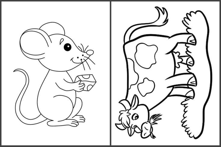 Detail Gambar Hewan Tikus Untuk Diwarnai Anak Tk Nomer 8