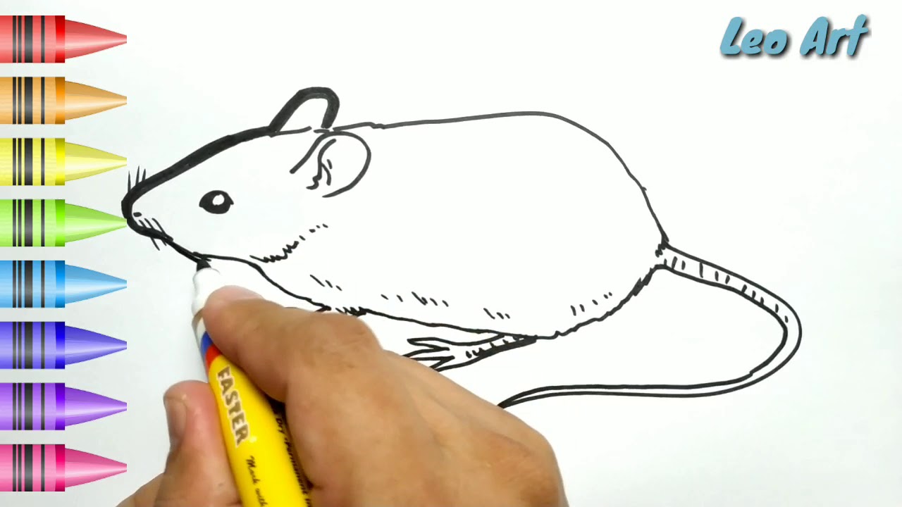 Detail Gambar Hewan Tikus Untuk Diwarnai Anak Tk Nomer 9