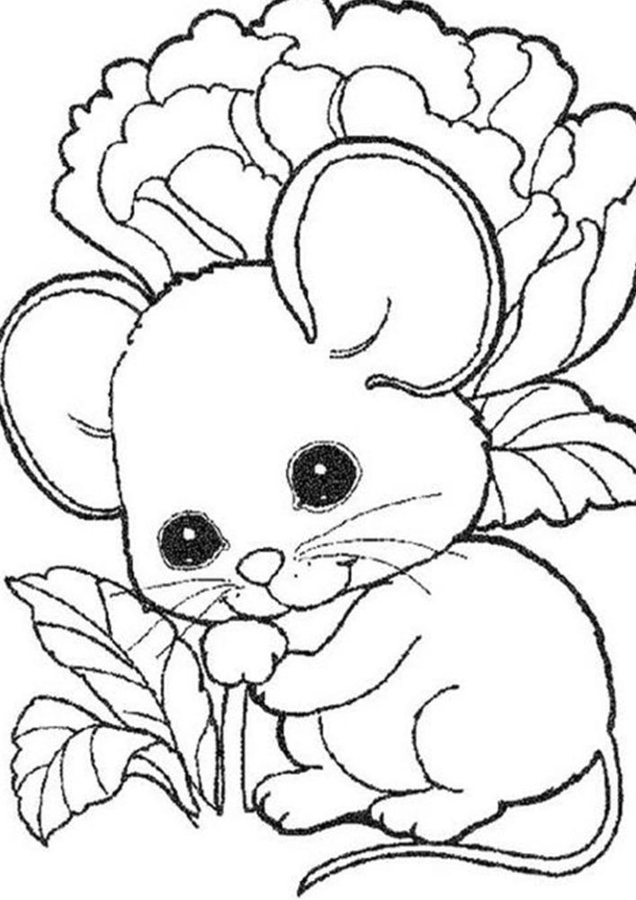 Detail Gambar Hewan Tikus Untuk Diwarnai Anak Tk Nomer 26
