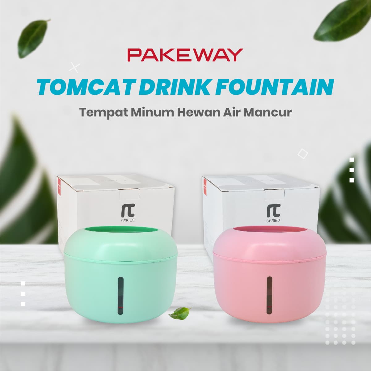 Detail Gambar Hewan Tomcat Nomer 42