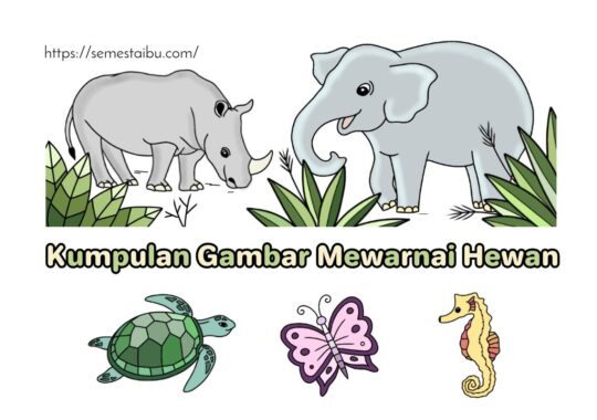 Detail Gambar Hewan Untuk Anak Tk Nomer 7