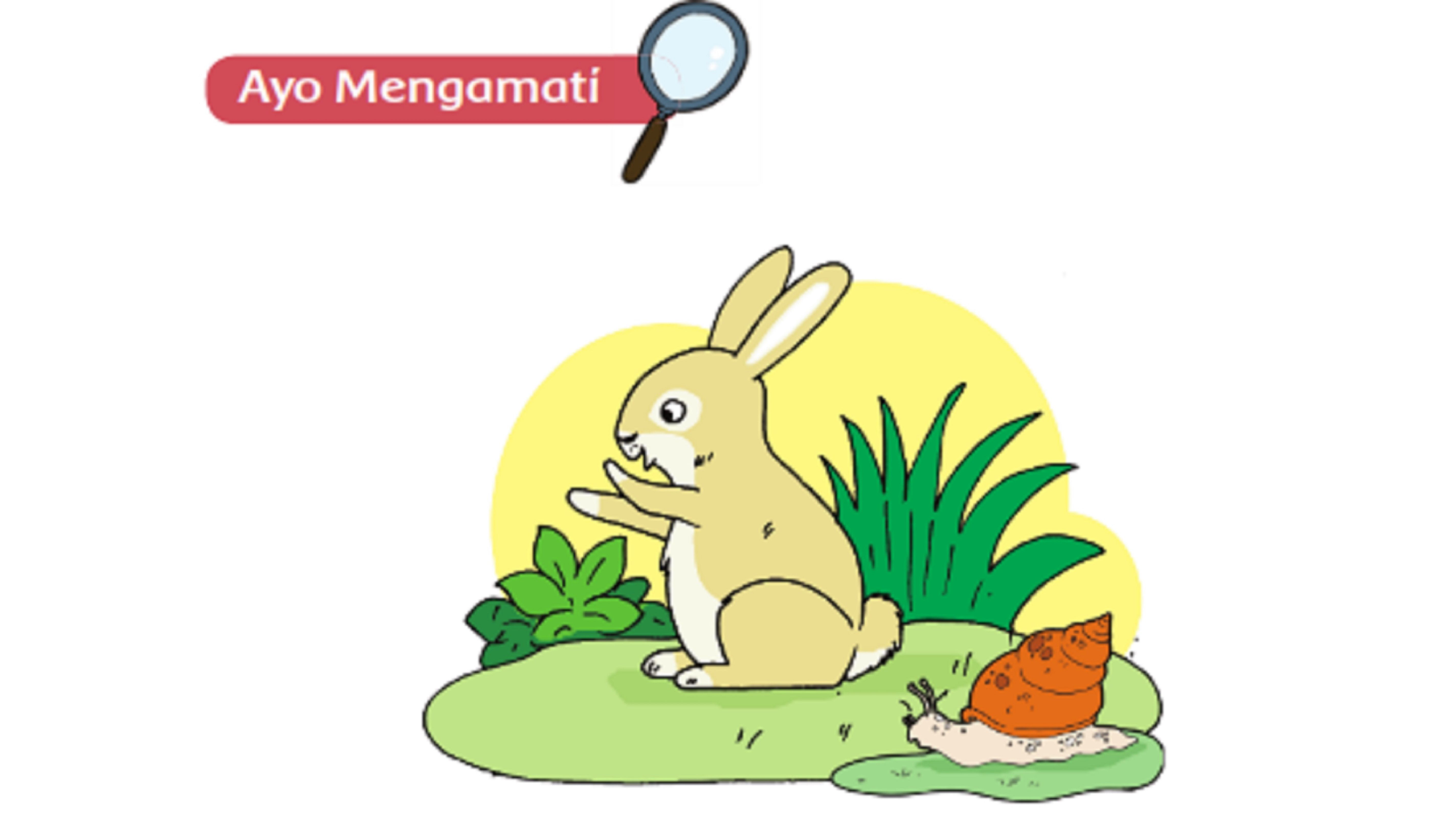 Detail Gambar Hewan Vertebrata Nomer 27