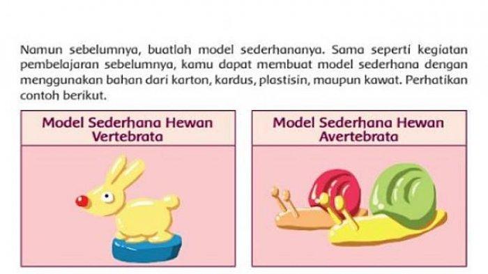 Detail Gambar Hewan Vertebrata Dan Invertebrata Nomer 14