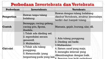 Detail Gambar Hewan Vertebrata Dan Invertebrata Nomer 33