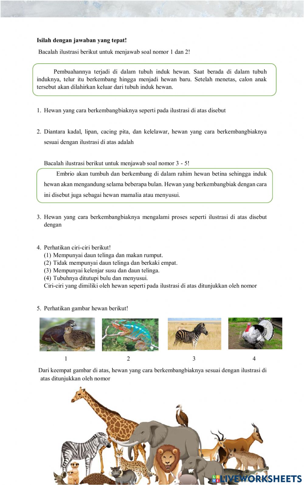 Detail Gambar Hewan Yang Mempunyai Kelenjar Susu Nomer 13