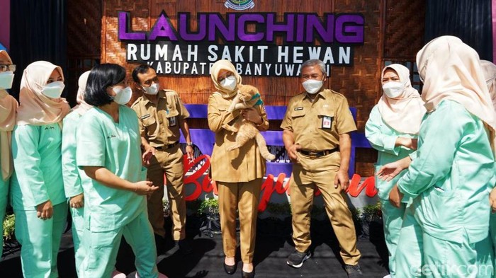 Detail Gambar Hewan Yang Tidak Di Rawat Nomer 5