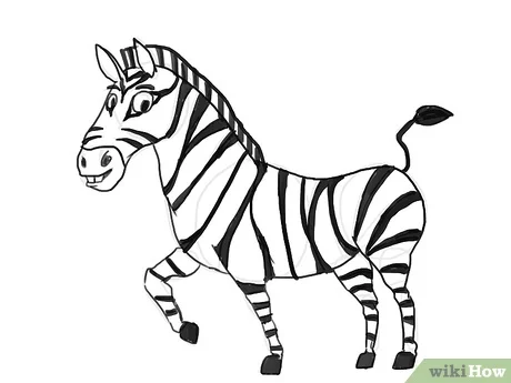 Detail Gambar Hewan Zebra Nomer 29