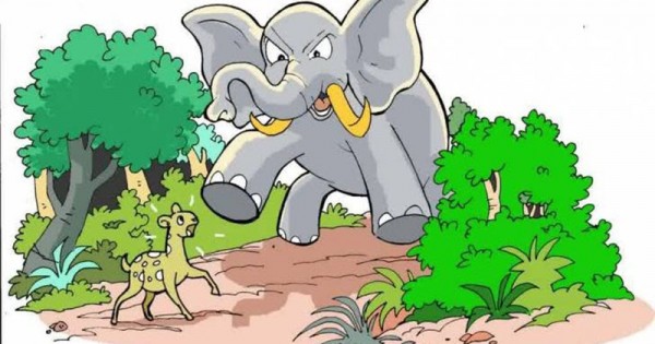 Detail Gambar Hewan2 Animasi Lucu Gajah Nomer 31