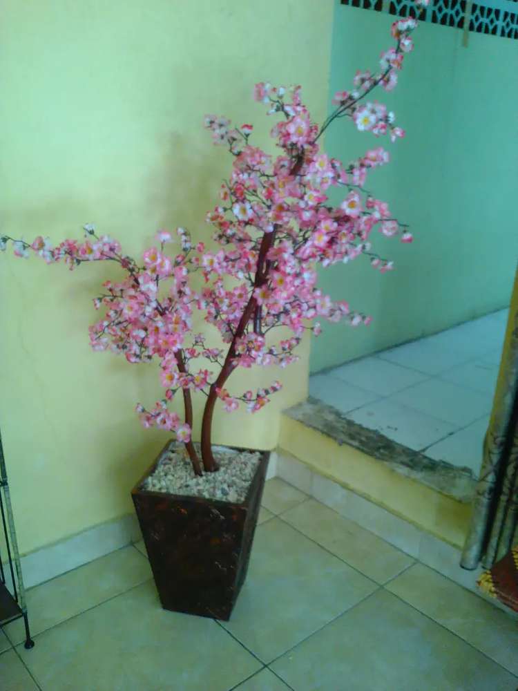 Detail Gambar Hiasan Bunga Sakura Nomer 43