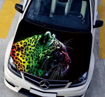 Detail Gambar Hiasan Cat Hd Nomer 32