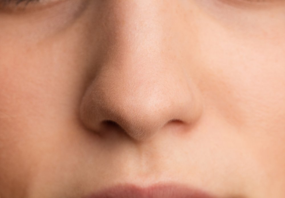 Gambar Hidung Manusia - KibrisPDR
